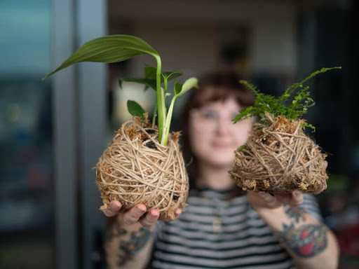 Kokedama